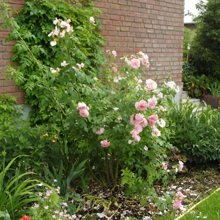 Lejlighed Borchert *