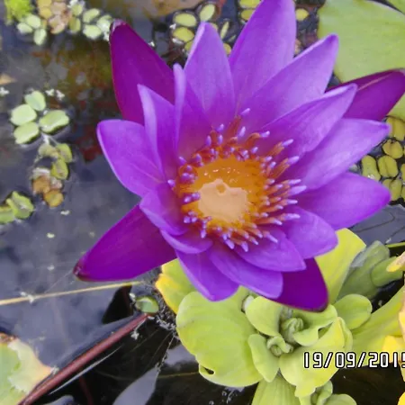 Apartment Borchert *