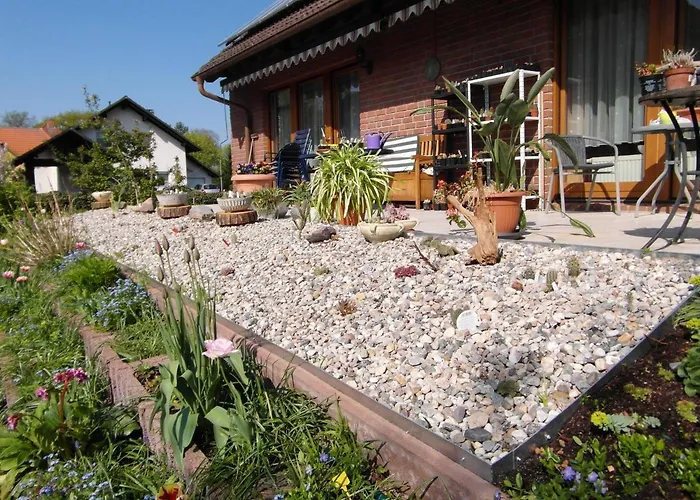 Borchert راتينو