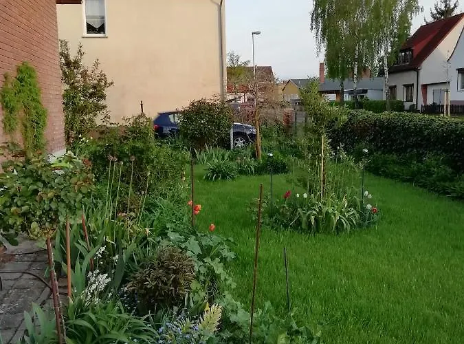 Borchert * راتينو