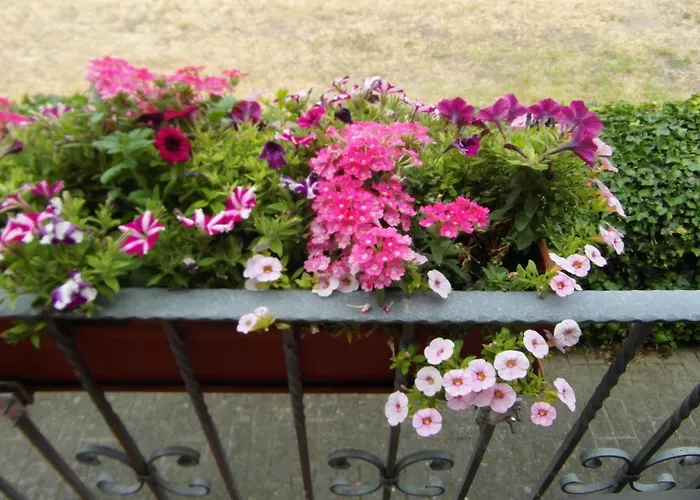 شقة Borchert راتينو