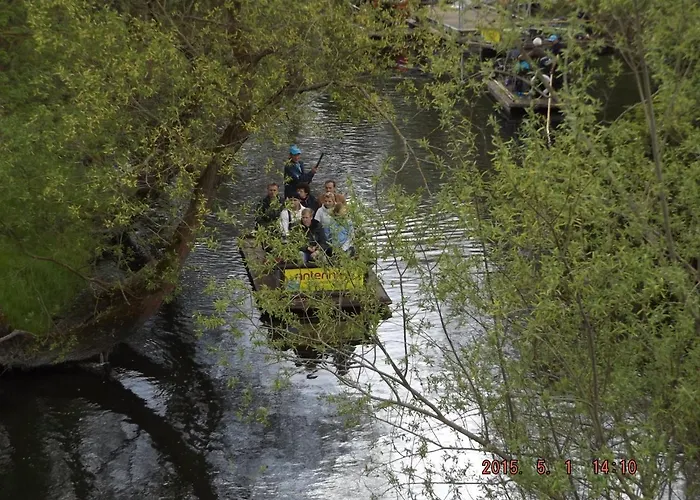 Borchert راتينو