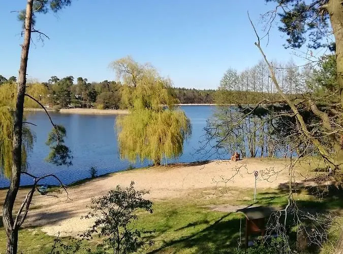 Borchert * راتينو