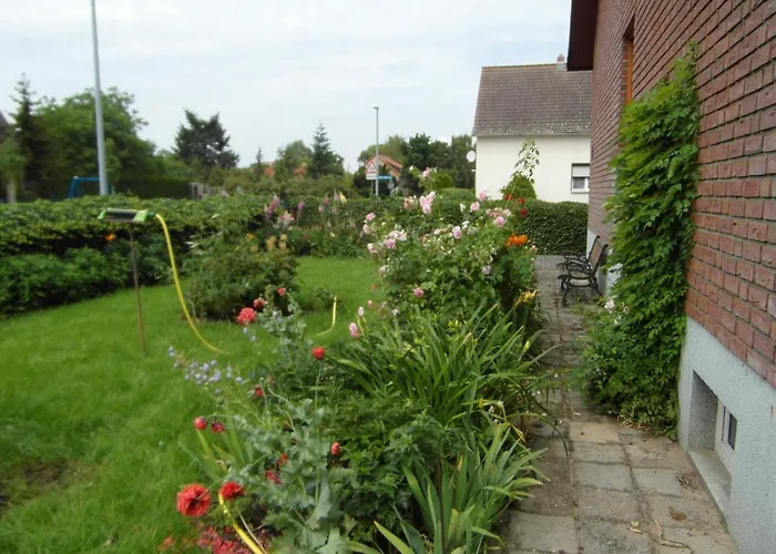 Borchert راتينو